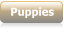 Puppies