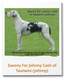 Saxony For Johnny Cash of Tautwini (Johnny)